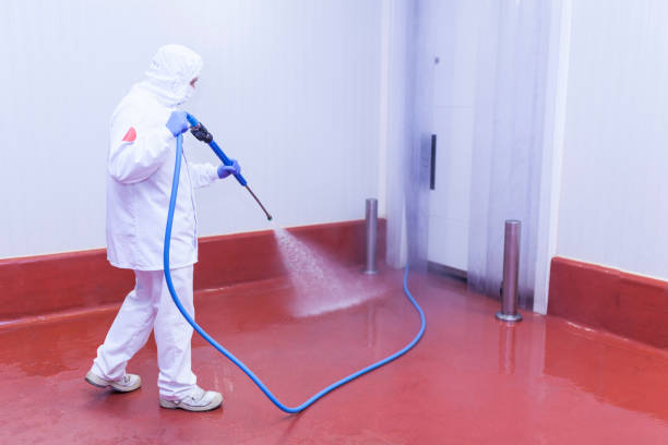 Best Dumpster Area Cleaning  in Red Bank, NJ
